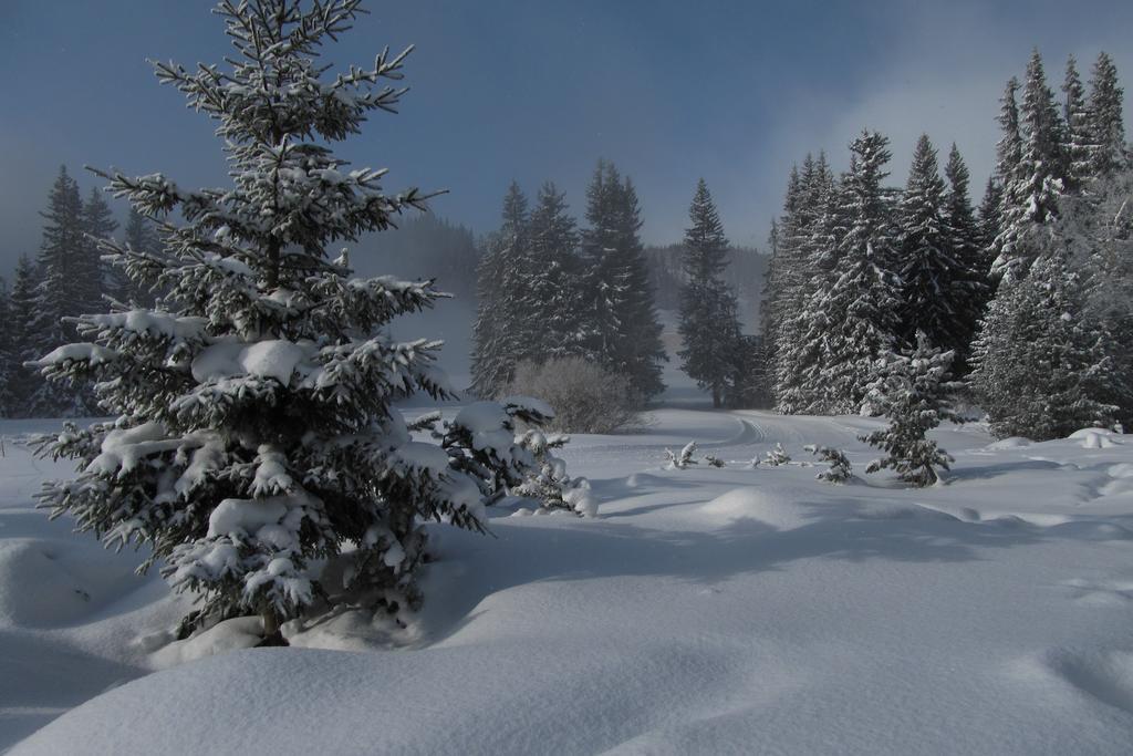 Apartman Strbske Pleso - Crocus 219 Bagian luar foto